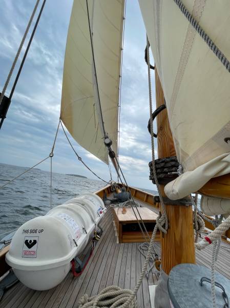 img_0010.jpg img_0010.jpg