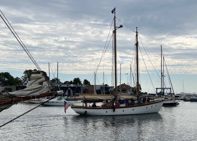 img_0011.jpg img_0011.jpg