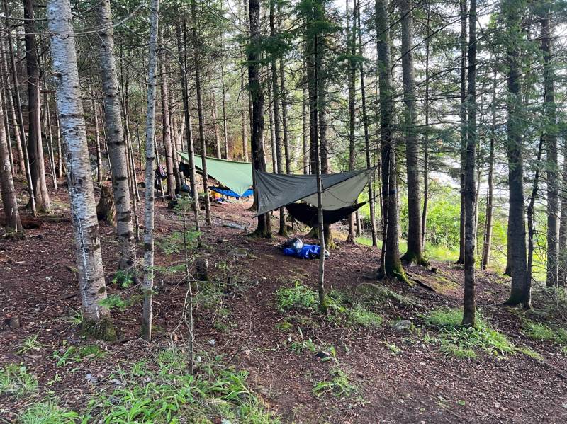 img_0006.jpg img_0006.jpg