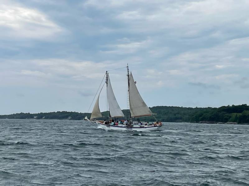 img_0009.jpg img_0009.jpg